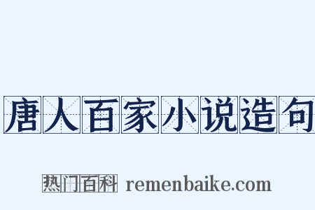 唐人百家小说造句是什么意思的图片